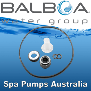Balboa 200 Series Spa Pump Seal Kit