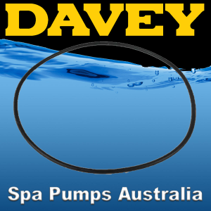 Davey Spa-Quip : Compact Series Filter Lid O'Ring